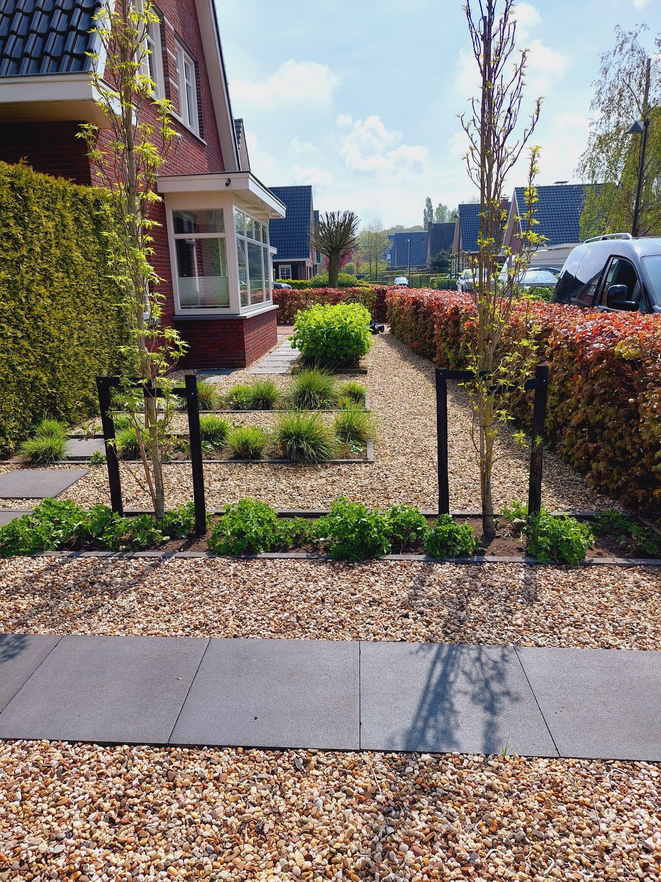 Aangelegde voortuin met grindvlakken, een pad van grote tegels, jonge meerstammige bomen en lage beplanting